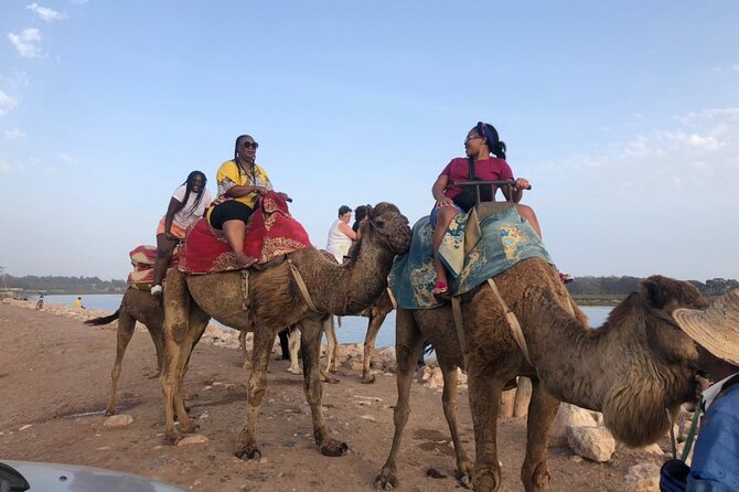 Camel Riding Agadir - Directions