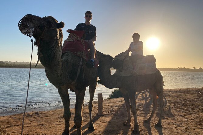 Camel Riding Agadir - Common Questions