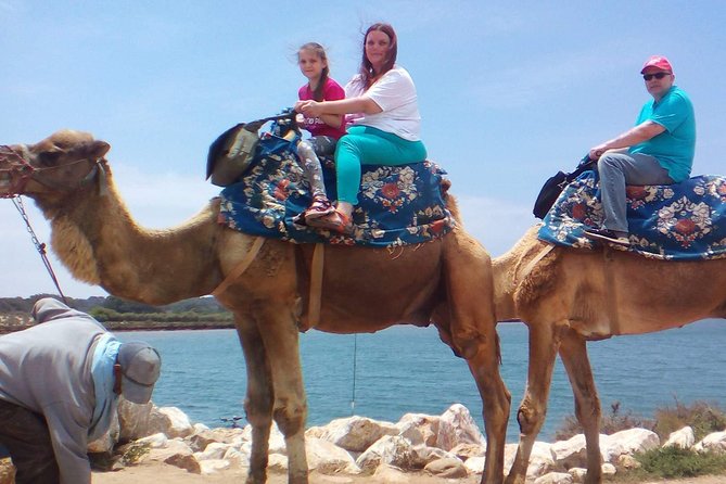 Camel Riding - Tips for a Memorable Camel Riding Experience