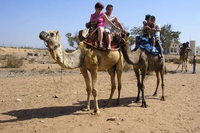 Camel Riding - Safety Precautions for Camel Riding