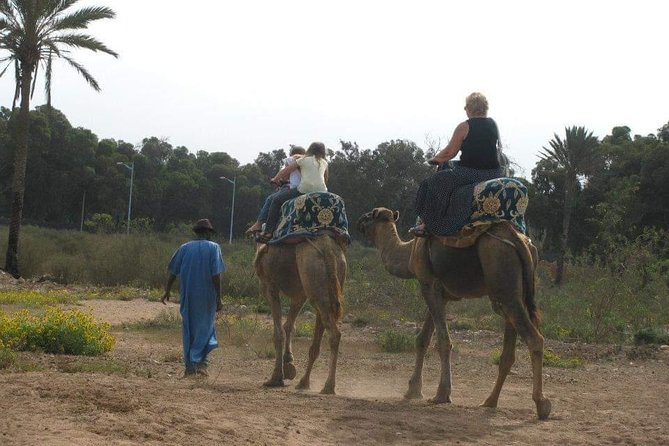 Camel Riding - The Sum Up