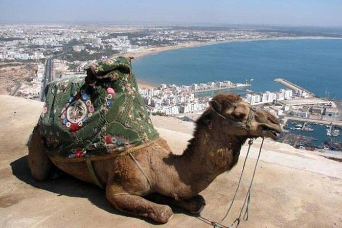 Camel Riding Experience in Agadir - Inclusions