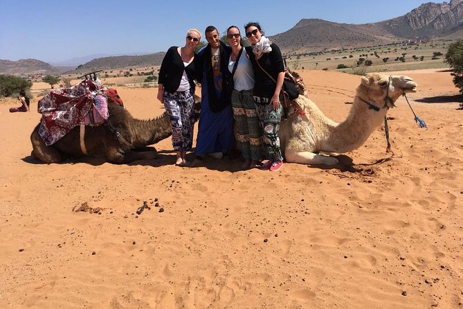 Camel Riding Experience in Agadir - Highlights