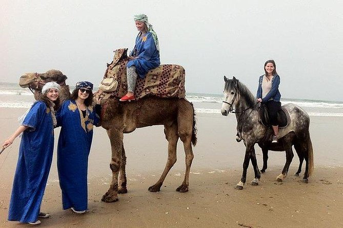 Camel Riding Experience in Agadir - Tips for Riders