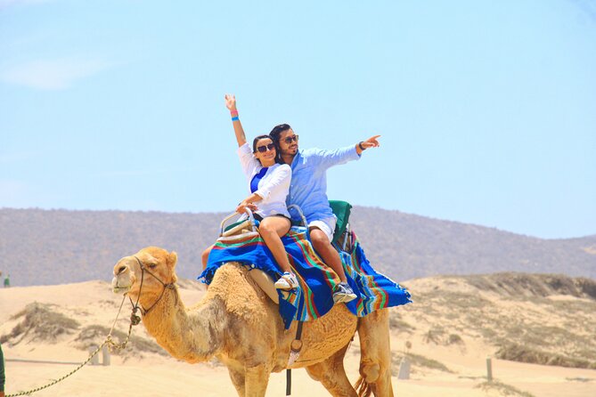 Camel Riding Experience on the Shores of the Pacific Ocean - Good To Know