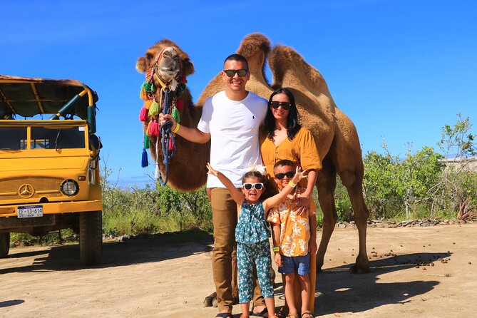 Camel Riding Experience on the Shores of the Pacific Ocean - Traveler Recommendations and Restrictions