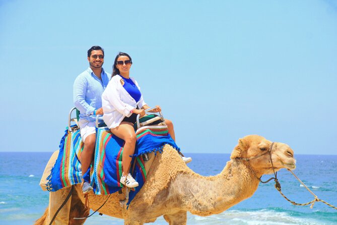 Camel Riding Experience on the Shores of the Pacific Ocean - Weather Dependence and Refund Policy