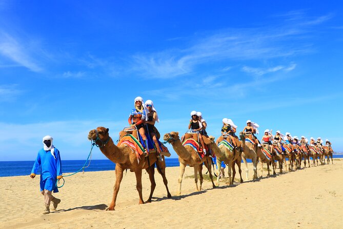 Camel Riding Experience on the Shores of the Pacific Ocean - Authenticity of Reviews and Support