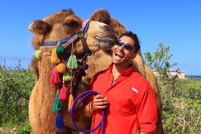 Camel Riding Experience on the Shores of the Pacific Ocean - Pricing, Provider Information, and Terms & Conditions