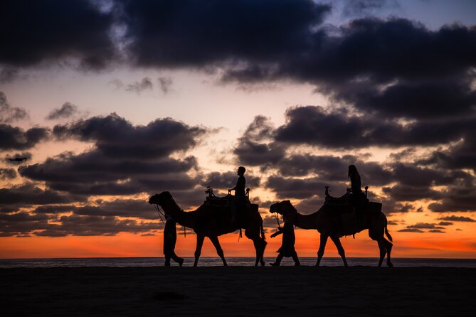 Camel Riding Experience on the Shores of the Pacific Ocean - Common Questions