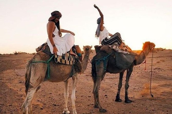 Camel Riding in Agadir - Good To Know
