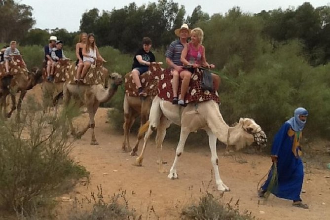 Camel Riding in Agadir - Key Information for Participants