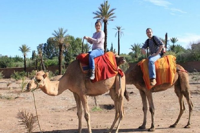 Camel Riding in Agadir - Operating Hours and Schedule