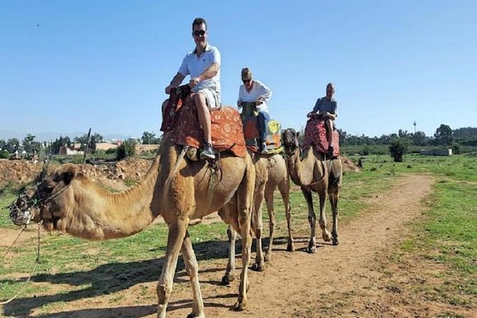 Camel Riding in Agadir - Directions for Booking