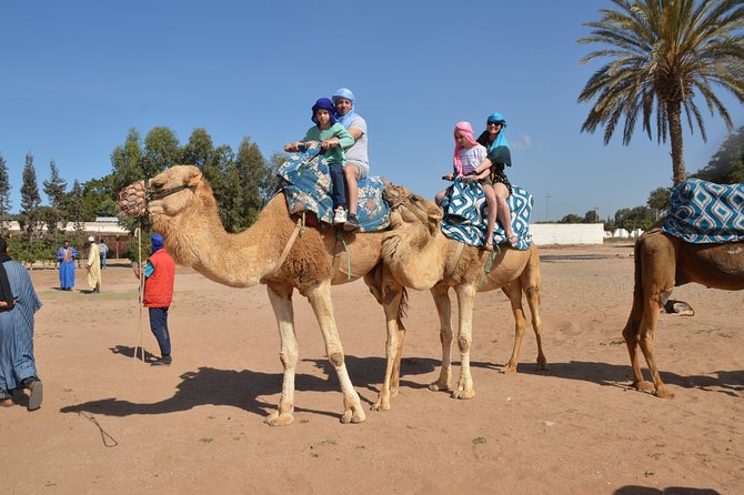 Camel Riding in Agadir and Couscous Dish With Hotel Transfers - Pricing and Inclusions
