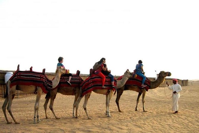 Camel Riding In Dubai Desert - What to Expect: Camel Riding Experience in the Desert