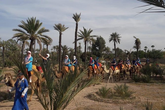 Camel Riding in Marrakech - Meeting and Pickup