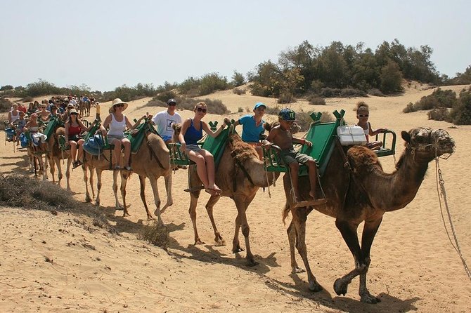 Camel Riding in Maspalomas Dunes - Inclusions and Meeting/Pickup Information