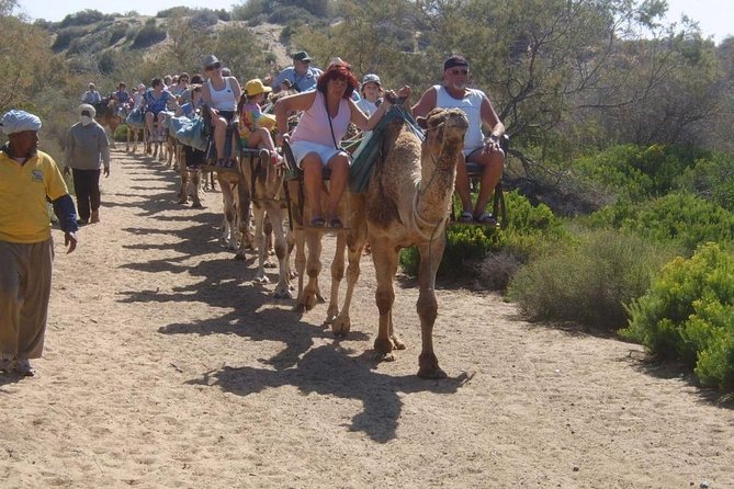 Camel Riding in Maspalomas Dunes - Common Questions