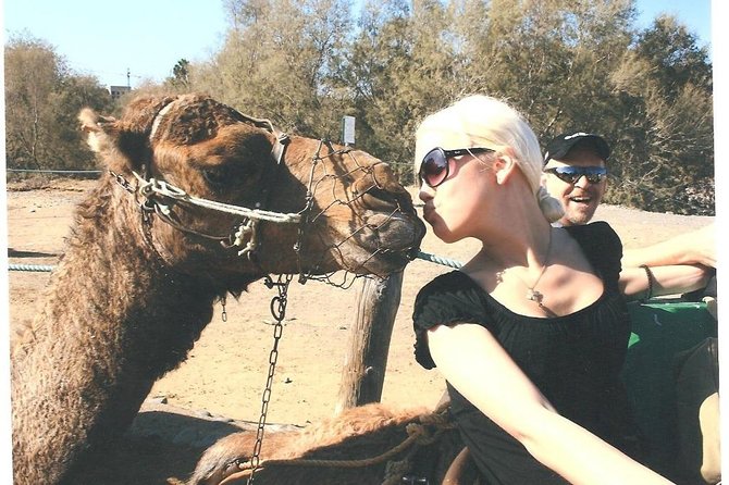Camel Riding in the Dunes of Maspalomas - Overview and Booking Information