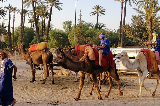 Camel Riding in the Marrakech Desert - Booking Process