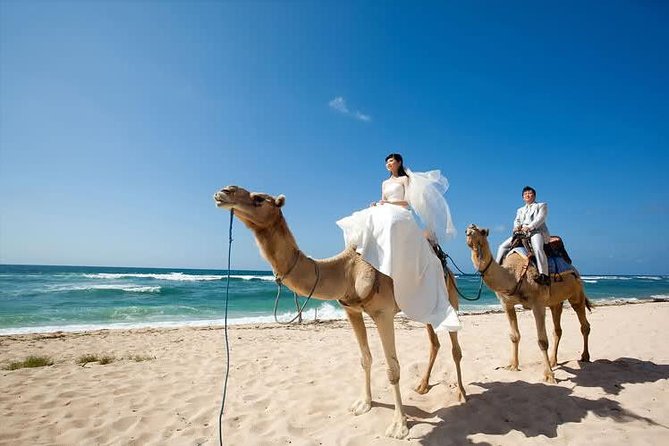 Camel Safari 30 Minutes in White Sand Beach - Frequently Asked Questions