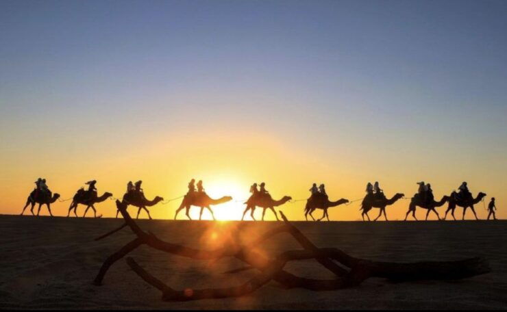 Camel Safari Adventure With Tacos - Pickup Information