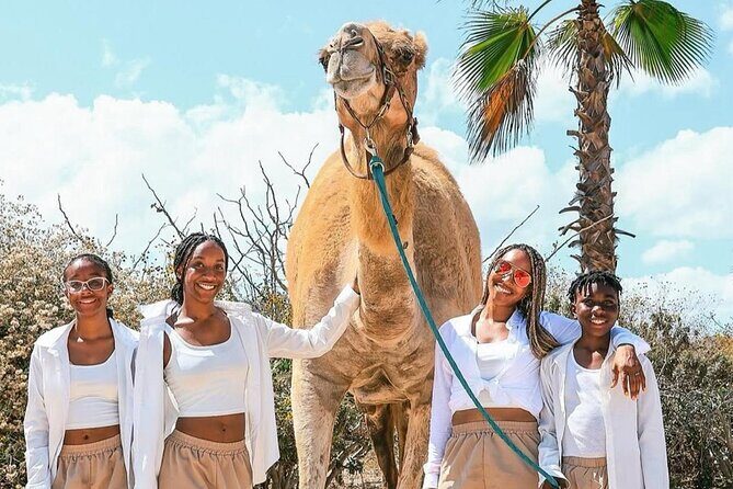 Camel Safari and Gastronomic Experience in Los Cabos - Good To Know
