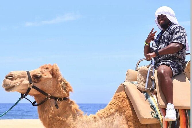 Camel Safari and Gastronomic Experience in Los Cabos - The Sum Up