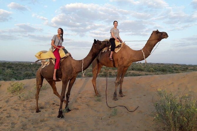Camel Safari Experience With Locals - Booking and Reservation Details