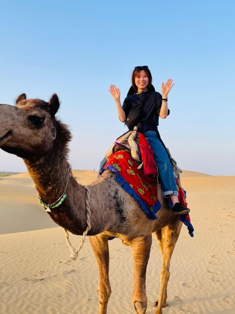 Camel Safari Half Day Desert Experience - Positive Feedback and Customer Satisfaction