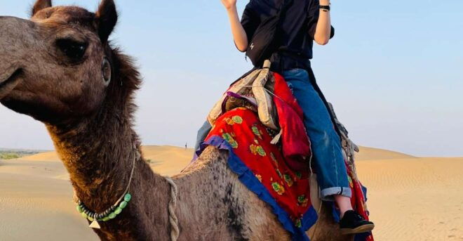 Camel Safari Half Day Desert Experience - Location and Product Details