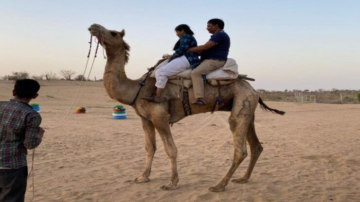 Camel Safari Half Day Tour in Jodhpur With Dinner - Activity Details