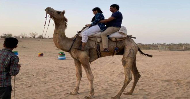 Camel Safari Half Day Tour in Jodhpur With Dinner - Full Description