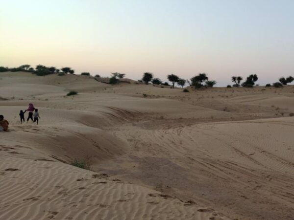 Camel Safari Half Day Tour in Jodhpur With Dinner - Cancellation Policy