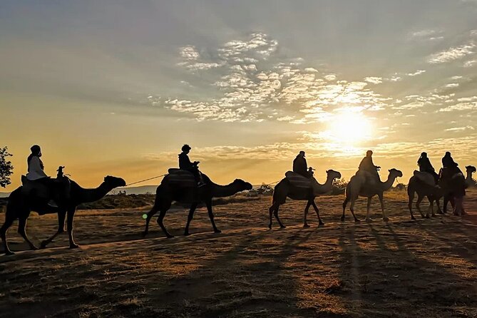 Camel Safari in Cappadocia - Tour Details