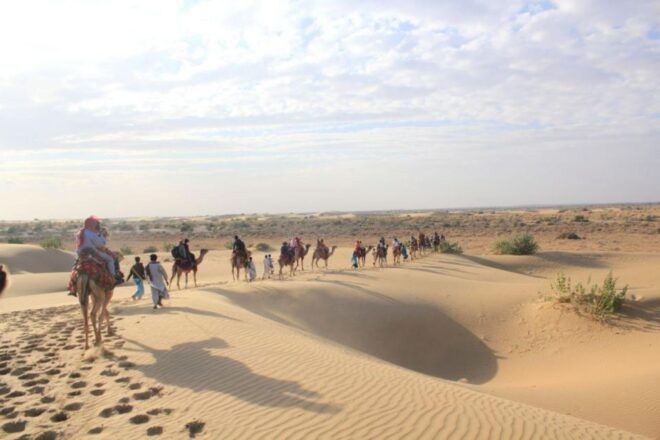CaMeL SaFARi / !n 0sian DeSERT - Pickup and Guide