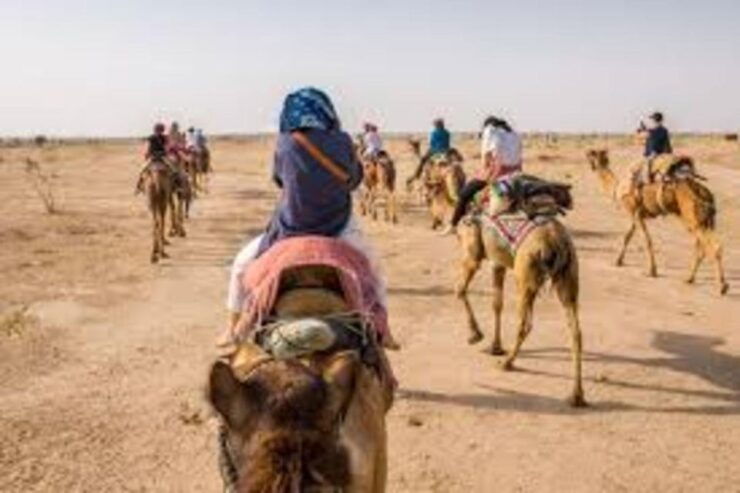 CAMEL SAFARi !n 0sian DeSERT - Tour Details