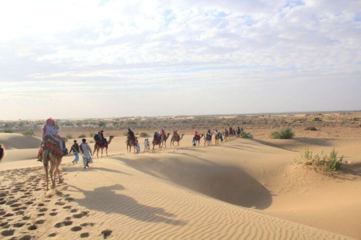 CAMEL SAFARi !n 0sian DeSERT - Reservation Process