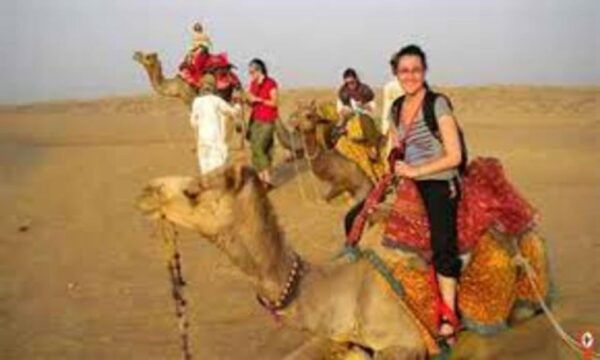CAMEL SAFARi !n 0sian DeSERT - The Sum Up
