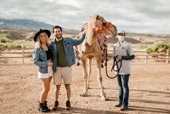 Camel Safari - Safari Tram Ride and Zoo Tour - What To Expect