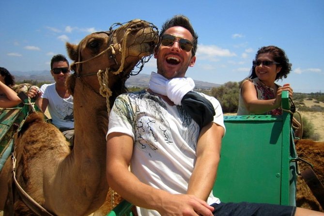 Camel Safari Through the Dunes of Maspalomas - What to Expect on the Safari