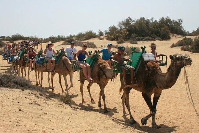 Camel Safari Through the Dunes of Maspalomas - Cancellation Policy for the Safari