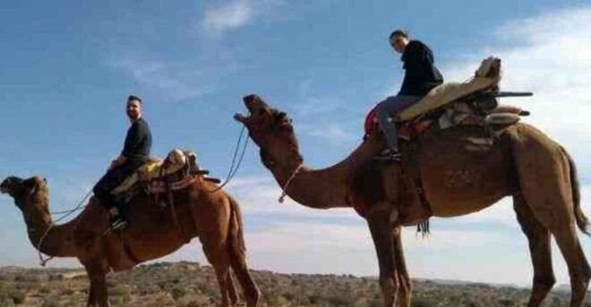 Camel Safari Tour From Jodhpur - Pickup Logistics