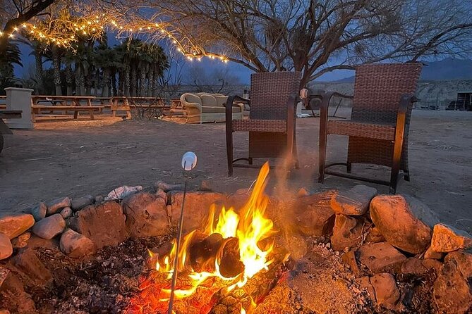 Camel Safari - VIP Sunset Safari - Experience Highlights