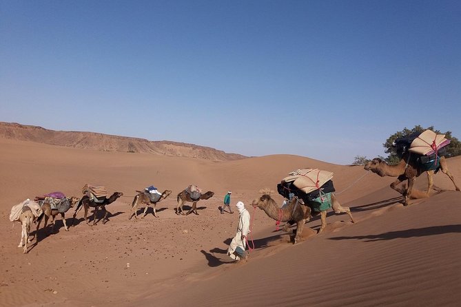 Camel Trek Morocco 8 Days - Itinerary Highlights