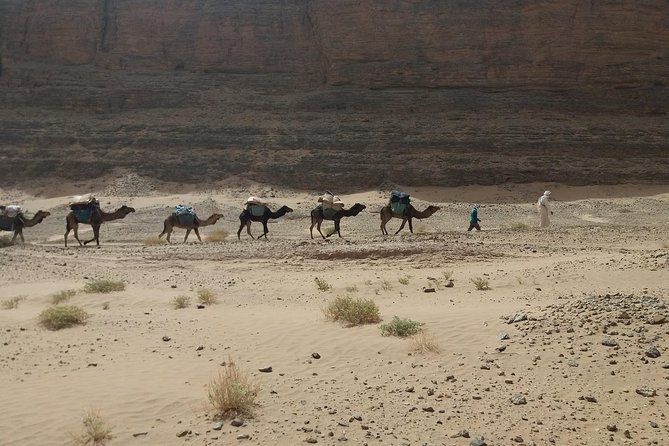 Camel Trek Morocco 8 Days - Inclusions and Exclusions