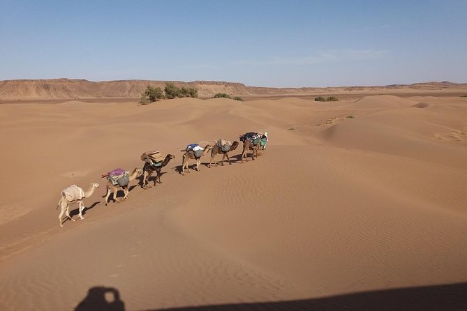 Camel Trek Morocco 8 Days - Traveler Requirements