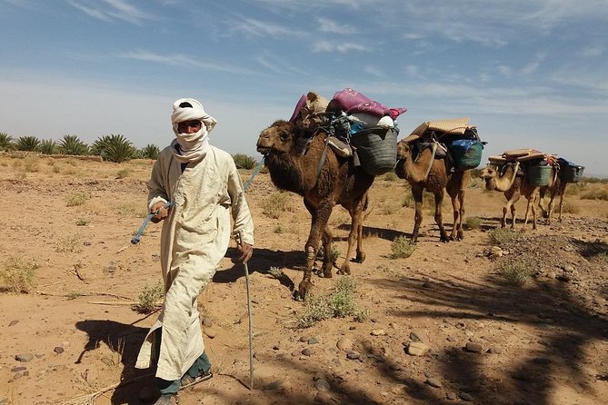 Camel Trek Morocco 8 Days - Booking and Cancellation Policy
