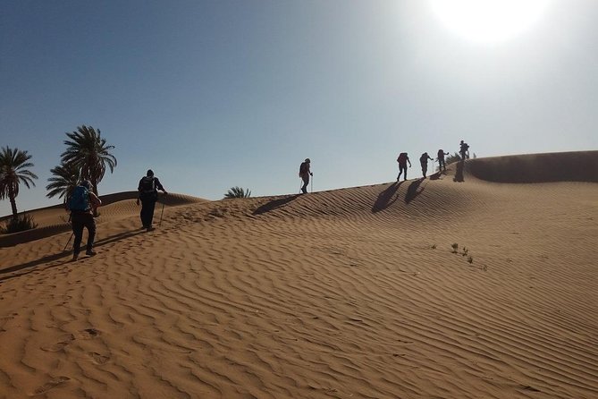 Camel Trek Morocco 8 Days - Authenticity of Reviews